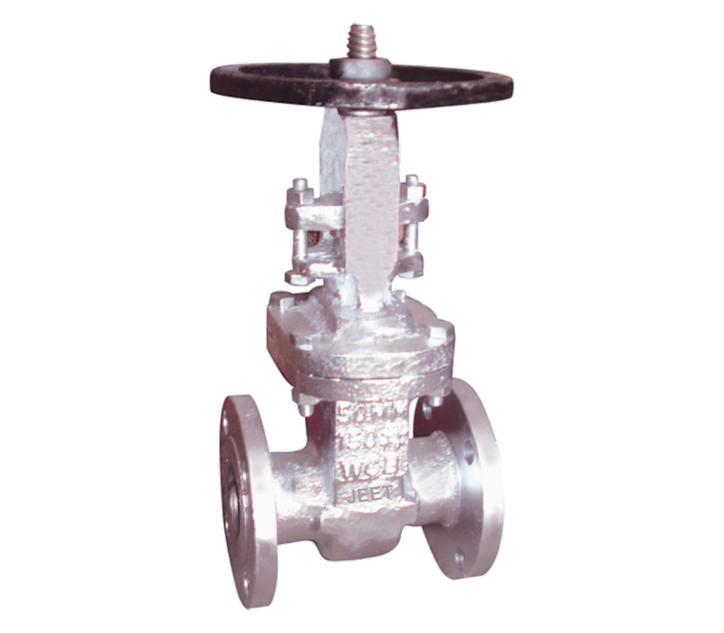Gate Valve Flange Ends